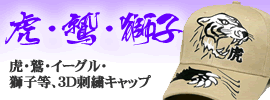 �ՃL���b�v