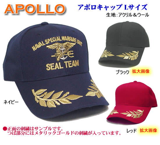 APOLLO�i�A�|���L���b�v�j