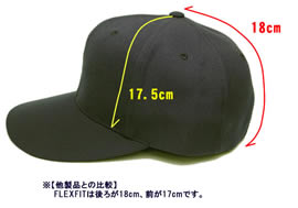 �X�q�@�o�b�N�A�W���X�^�[