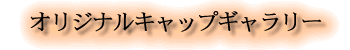 �I���W�i���L���b�v�M�������[