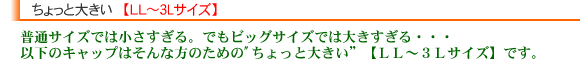 �k�k�T�C�Y