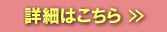 �X�g���b�`�L���b�v�ڍ�