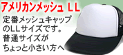 �A�����J�����b�V���@�r�b�O