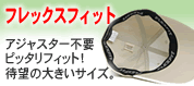 �t���b�N�X�t�B�b�g�r�b�O