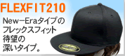 FLEXFIT�v��