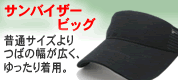 �T���o�C�U�[
