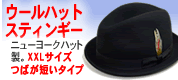 �X�e�B���M�[